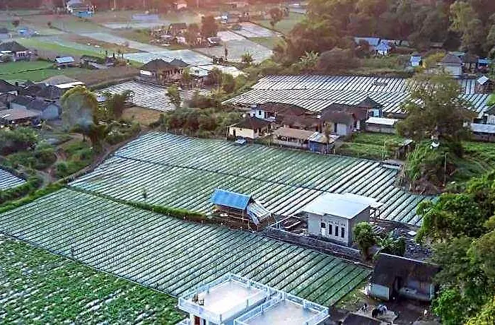 Hayanavilla Toya Bungkah